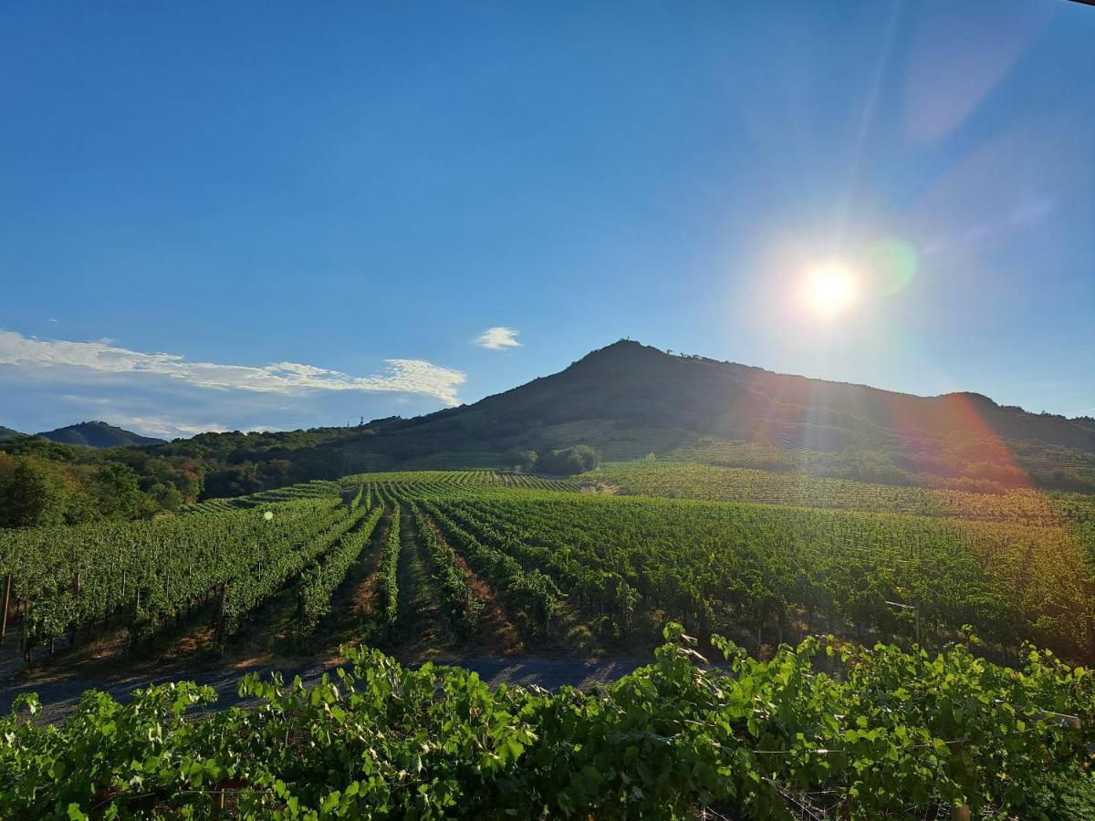 Posestvo Rouna - Winery And Apartments Vipava Exterior photo